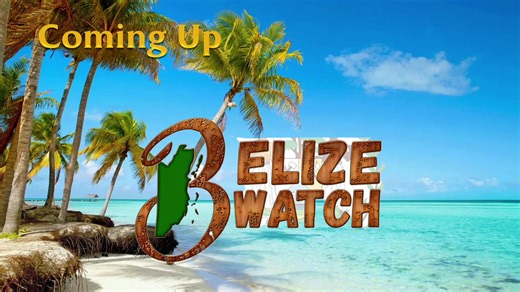 Belize Watch | Tuesday February 3, 2026 | Love FM Belize - News and Music Power