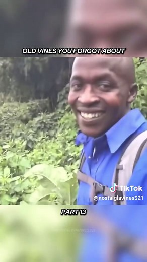 The Nostalgia of Vines: An Overview