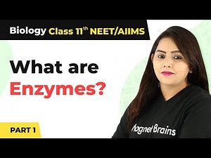 Class 11 Biology Enzymes | Biomolecules Class 11 Biology Enzymes (Part 1) | Class 11 Biology