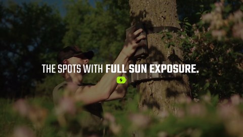 TACTACAM Reveal Ultra Cellular Trail Camera – 4K Photo, 1080P Video, Live Streaming, GPS, Low-Glow/No-Glow Flash, LTE - Includes Solar Panel, Battery Belt, SD Card, & Cleaning Cloth