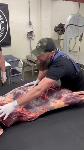 An entire half of a bison ready to be made into cuts! 🦬 #shorts #bison #butcher #butchering