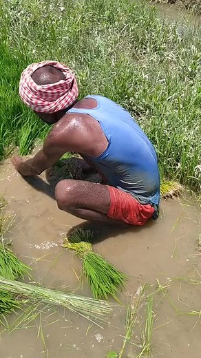 virat patel18 (@bitu_patel_03x)’s videos with original sound - virat patel18