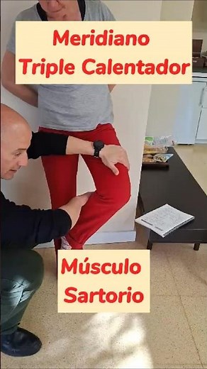 M S Kinesiology: Sartorius muscle test #tps #tfh #sartorius #sports