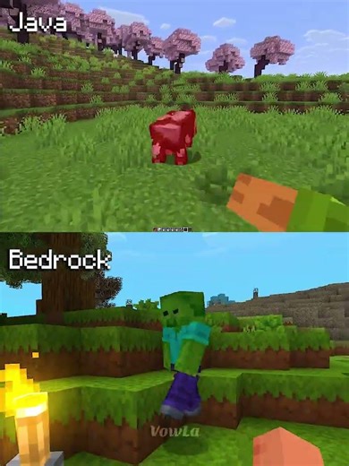 Minecraft Actions and Stuff Java vs Bedrock Part 46