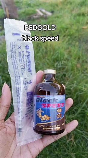 Redgold Black Speed Gamefowl Conditioning Tips
