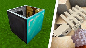 2.7K views · 77 reactions | The Minecraft Trails & Tales update has some Wild Features... #minecraft | Minecraft Daily Videos | Facebook