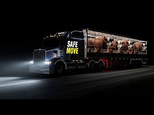 What Is The Safest Way To Transport Fattening Cattle?