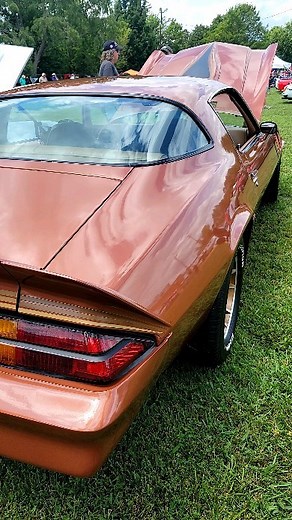 5K views · 442 reactions | What year is this 1970s beauty? Muscle in...