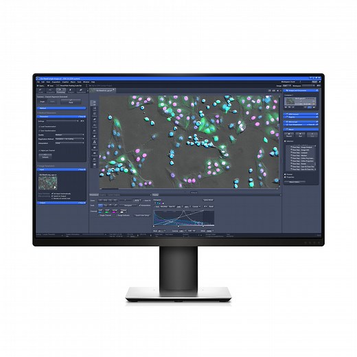 ZEISS ZEN Microscopy Software