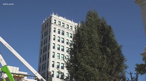 South Carolina Christmas Tree delivered to State House