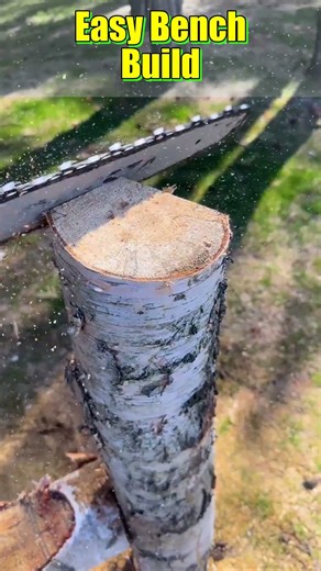 Fast Workshop Bench Build From Basic Materials