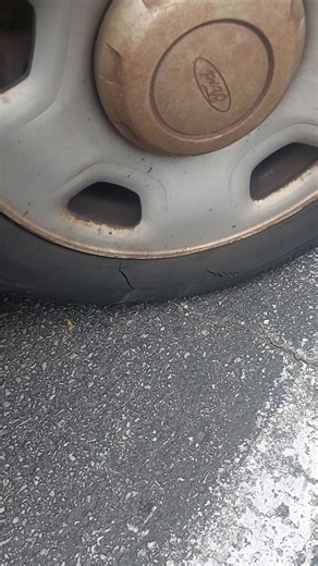 What the..... | Dana V Reardon