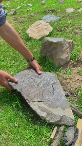 beef steak cooked on stone with vegetables | Forest cooking