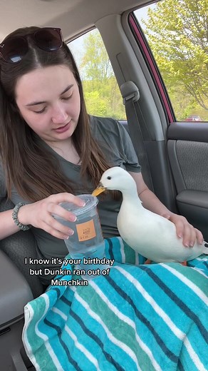 Celebrating Munchkin's Birthday with Ducks and Donuts 🦆🍩