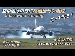12 Airplanes Crosswind landing as if levitated | 4K Osaka Airport Plane Spotting ITM/RJO