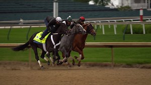 646K views · 10K reactions | SLO-MO: Three Derby Contenders in sync in their final work before Saturday's Run for the Roses. | Kentucky Derby | Facebook
