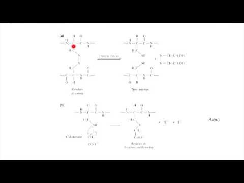 Lec2.2.3 Secuenciación y síntesis de péptidos (umh1025 2015-16)