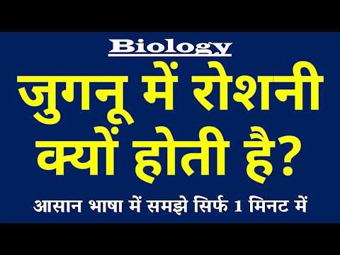 जुगनू में रोशनी क्यों होती है | Firefly Light Kyu Hai | Biology