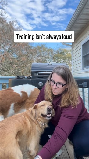 Lora Gilreath | Dog Trainer | Working Wife + Mom | OBX, NC on Instagram: "Not all moments are chaos. Sometimes it’s just back porch sitting. Slowing down, quietly connecting, enjoying a good brushing. Calm moments matter just as much as the busy ones, especially in a loud, going all the time house. 🐾Thus is part of real- life dog training 🐾 #dogmom #busymoms #busyfamily"