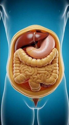 You’re Not “Full” — This Is What Overeating Does Inside Your Body