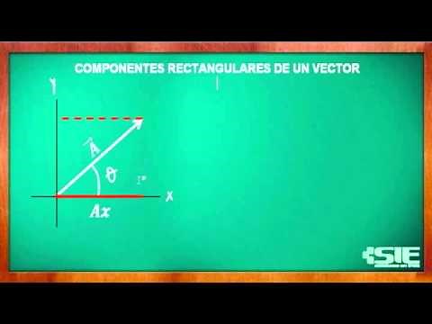 Componentes Rectangulares De Un Vector
