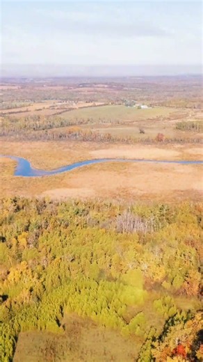 55 Acres for Sale in Reaboro, Ontario | 740 Mount Horeb Road