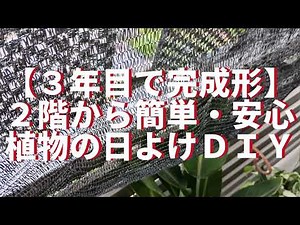 【3年目で完成形】2階から簡単安心植物の日よけDIY