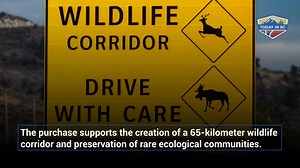 Crowdfunding initiative needs to raise $750,000 by July 15 For more, CLICK HERE: https://www.todayinbc.com/news/campaign-launched-to-buy-and-preserve-4m-okanagan-lake-property/ #okanaganlake #environmentalprotection #protectedlands | Kelowna Capital News | Facebook