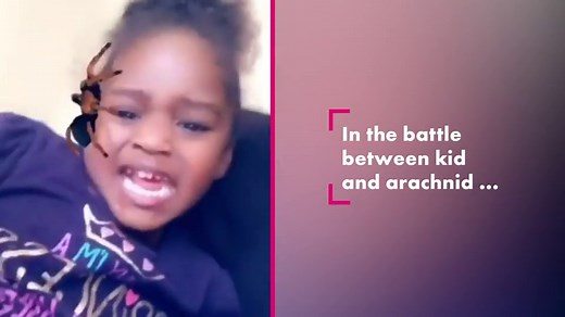 Super-realistic ‘spider’ freaks out little girl