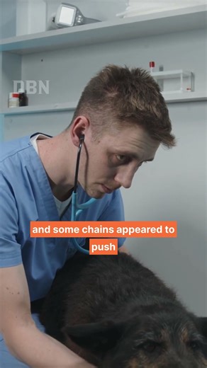 Netherlands: Vet Chains May Raise Costs!