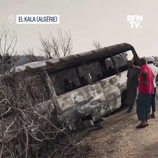 Les images des incendies en Algérie qui ont fait au moins 38 morts et plus de 200 blessés