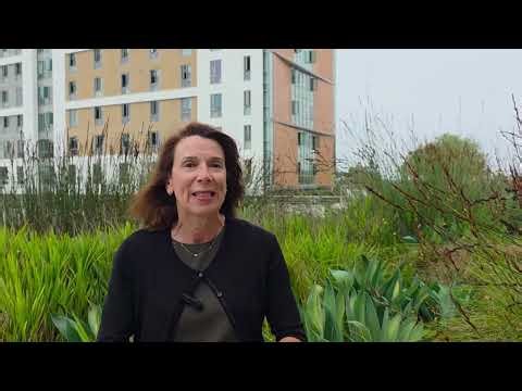 Real Estate and Development / Practical Pathways in Social Sciences
