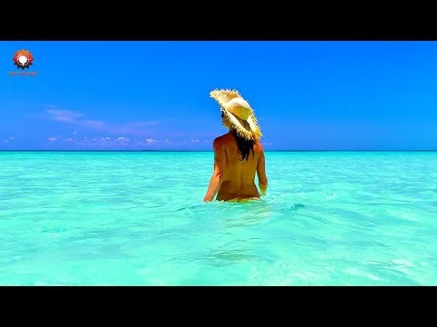 Most Satisfying Factory Machines and Ingenious Tools | Best of the Week #117