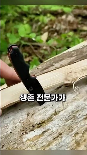 생존전문가가 알려주는 극한상황에서 칼 사용하는방법