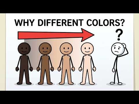 Why Are Humans Different Colors? (The Real Reason)