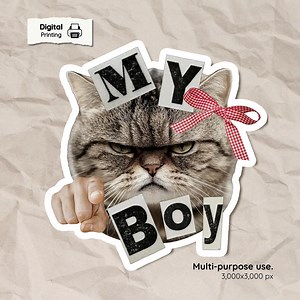 Sassy Grumpy Cat "my Boy" Sticker - Funny Pointing Cat Decal | PNG & JPG and PDF - Etsy