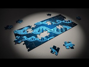 Enhancing Machine Learning Models using Genetic Algorithms