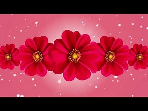 Beautiful flowers Motion Background free