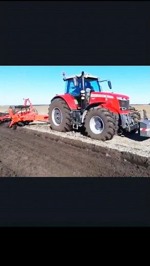 Massey Ferguson tractor plowing in the Field 🚜 #usatractor #americanfarming #masseyferguson