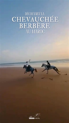 1.7K views · 25 reactions | Grand galop sur la plage pour notre rando Chevauchée Berbère au #Maroc ! #cheval #equitation #randocheval | Randocheval | Facebook