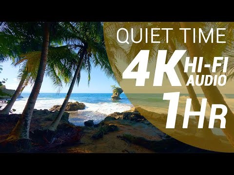 1 Hour of Waves Sounds - Caribbean Beach (4K - Hi-Fi Audio - No Talking)