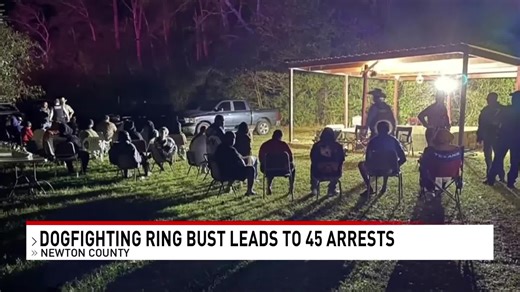 Newton County Sheriff 'dogfighting will not be tolerated;' 45 arrests made