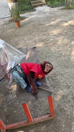 TURBO 654 (@_turbo_654)’s videos with orijinal ses - TURBO 654