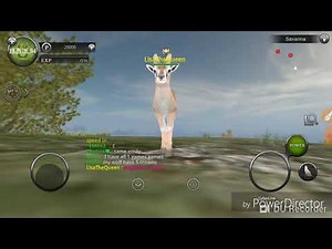 Wao 10 color codes and 1 extra code