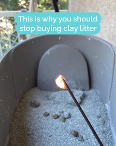 2.7M views · 5.2K reactions | The most innovative solution to your litter box problems. | PrettyLitter | Facebook