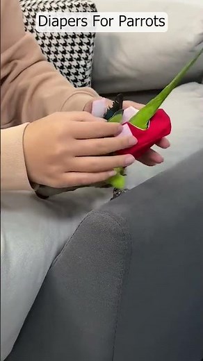 Smart Parrots Potty Trained! 🦜💩