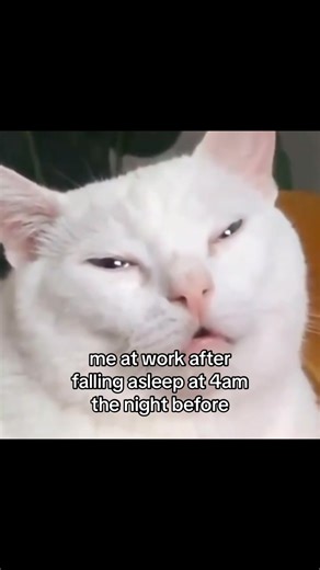 Hilarious Work Life Memes Compilation