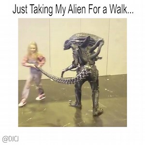 Just Taking My Alien For a Walk 󾆰 | DJCJ