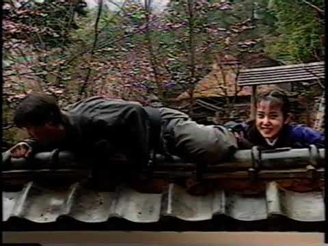 Seno sensei Bujinkan Togakushi Japan TV