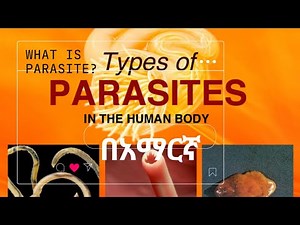 Parasite and Type of parasite in Amharic በአማርኛ ቋንቋ የተዘጋጀ